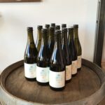 todos los dias shiraz 6 pack!