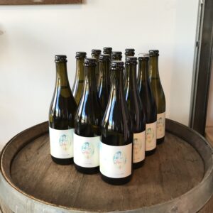 todos los dias shiraz 6 pack!