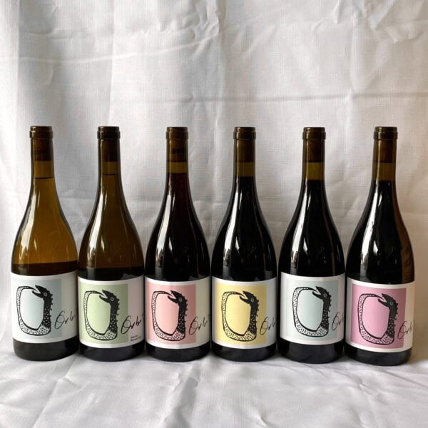 orbis wines mixed 6 pack