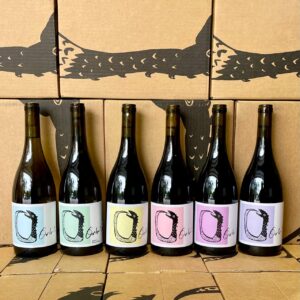 orbis wines mixed 6 pack