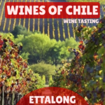 ettalong wines of chile tasting 25/09/2026