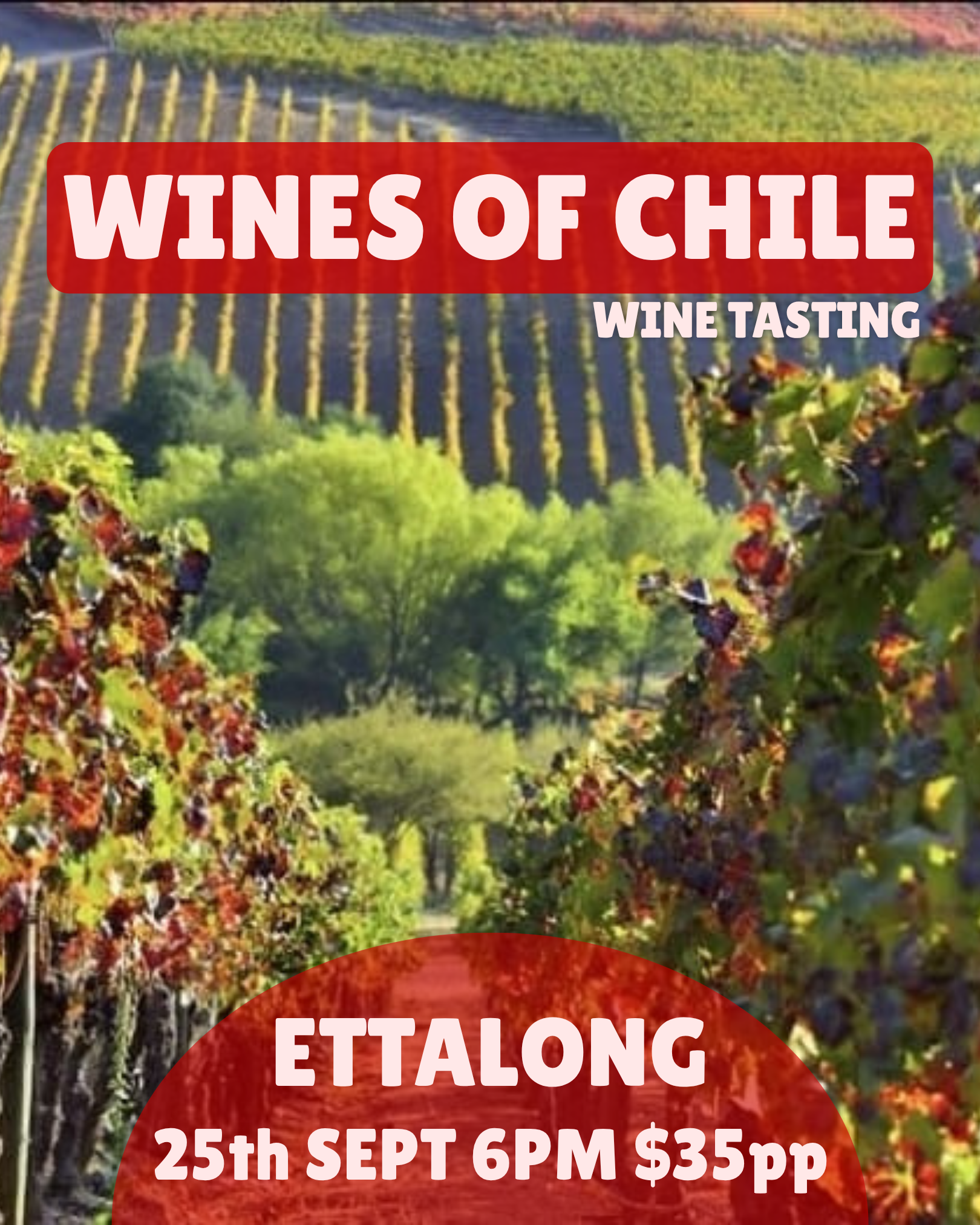 ettalong wines of chile tasting 25/09/2026